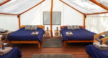 1-Night Glamping & Relaxation