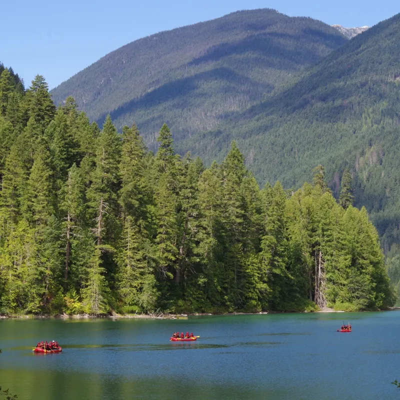 Select Image to view